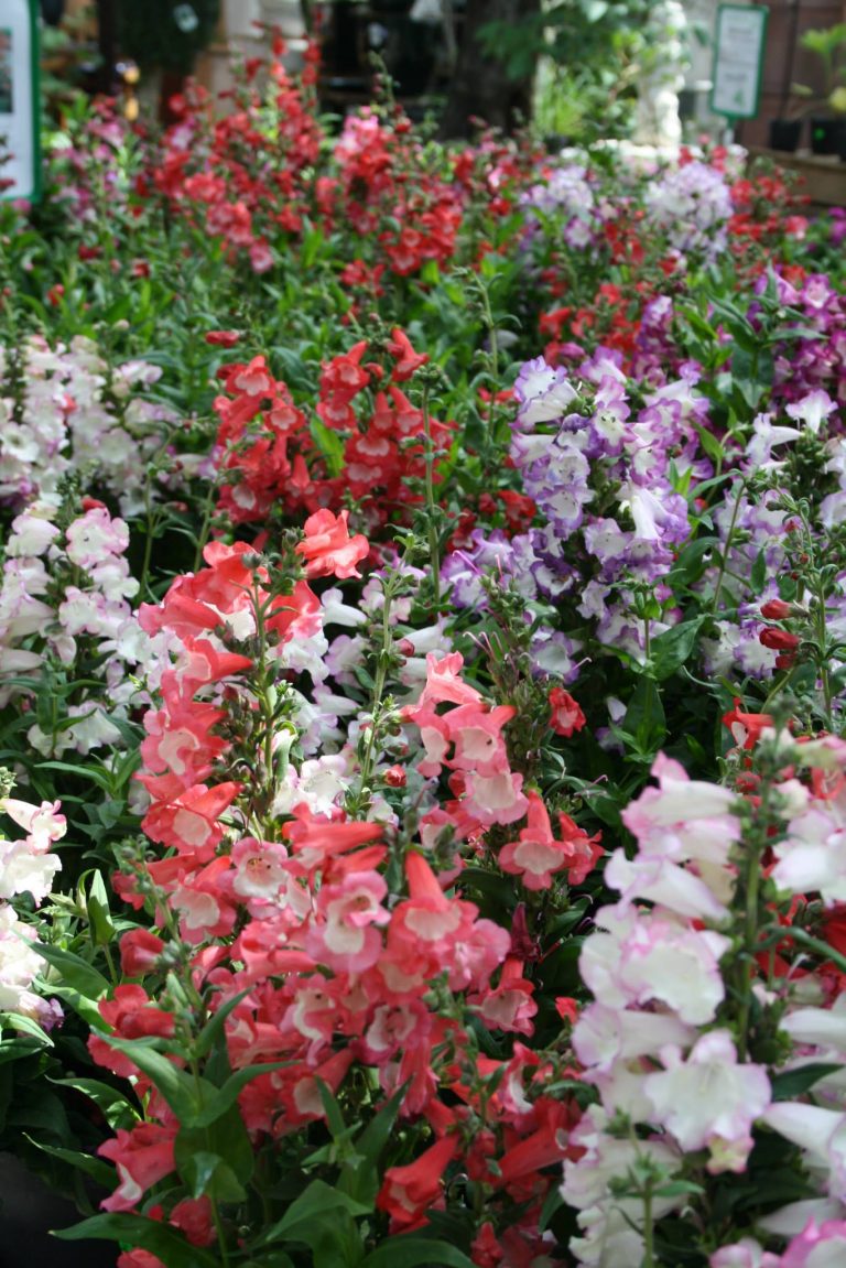 1052685_476560345771224_550443376_o