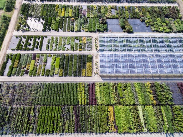 20170809_five-t-erich-rahlf_162_(c)Albers-ART_2017