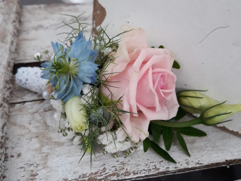 20180728_084541 bearbeitet