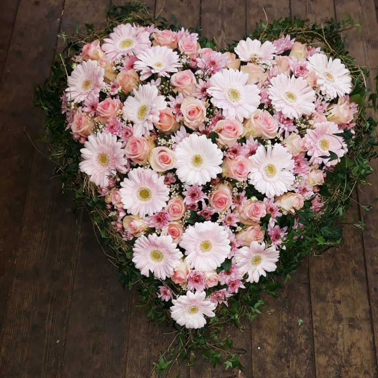 20181030_112128 bearbeitet