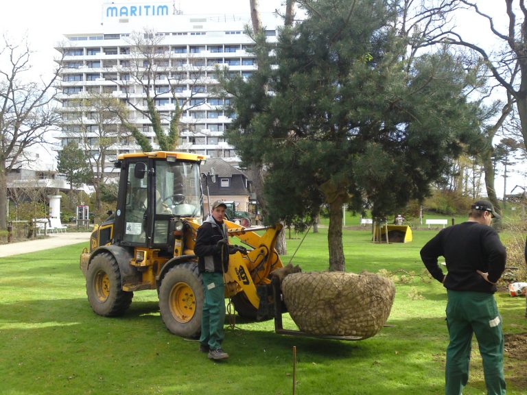 Gartengestaltung (2)