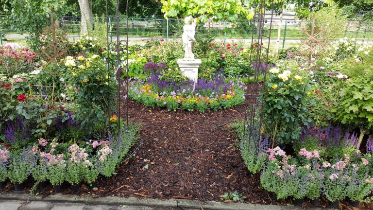 Rosen und Hortensientage