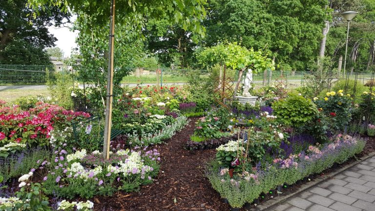 Rosen und Hortensientage1