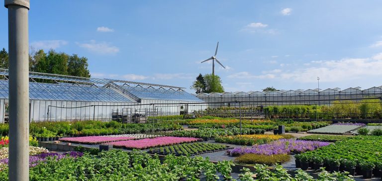 Sortiment Beet und Balkon