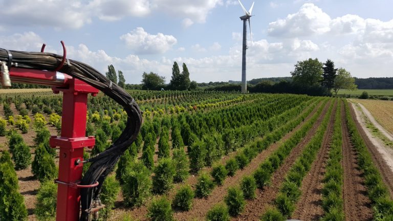 Sortiment Heckenpflanzen