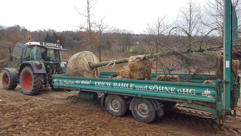 Sortimet Bäume und Sträucher (3)