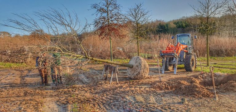 Sortimet Bäume und Sträucher