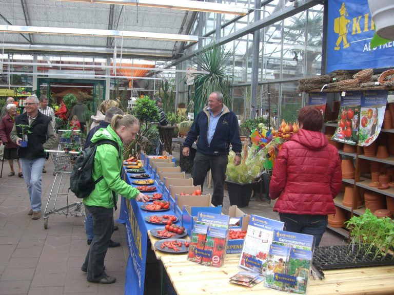 Tomatengeschmacksprobe (2)