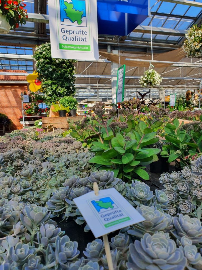 Gütezeichen „Geprüfte Qualität SchleswigHolstein“ für Zierpflanzen